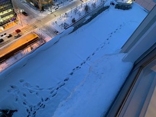 前山剛久、神田沙也加遺族に墓の場所を聞くも教えてもらえず「彼女に謝りたかったんですが…」