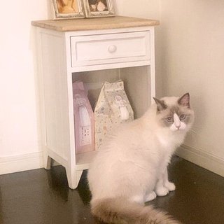 遠野なぎこ　好きな人だけ来て