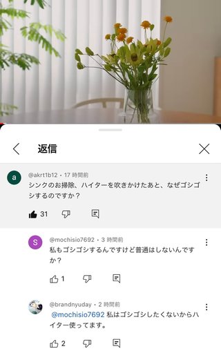お洒落生活系YouTuberアンチ
