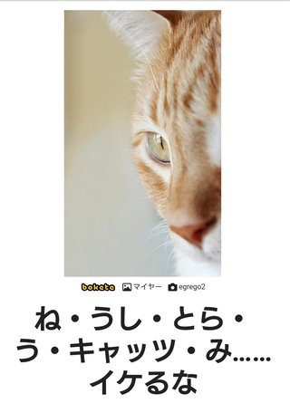 ねー、うし、とら、うー、キャッツ、みー