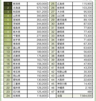 米づくりが盛んな地域