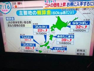 米が売ってない