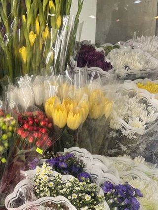 穏やかに松居一代様を斬り込みます