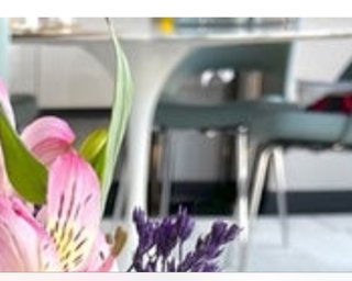 穏やかに松居一代様を斬り込みます