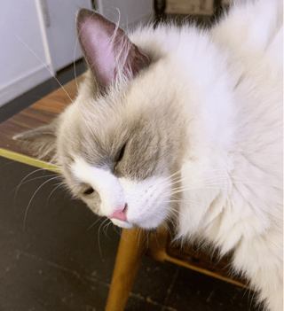 遠野なぎこ　好きな人だけ来て