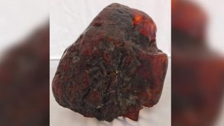 1億5000万円超の価値を持つ世界最大級の「琥珀」が民家のドアストッパーに　泥棒さえもスルーして