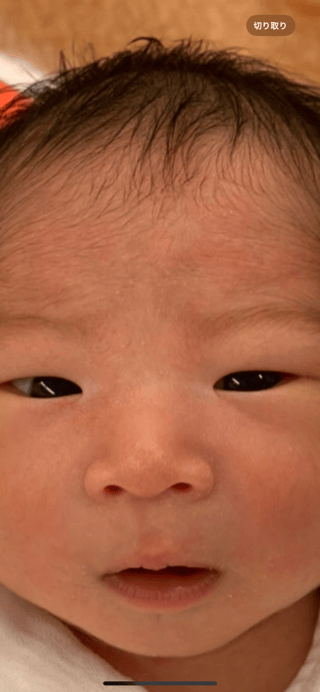 生まれたてほやほやの娘が可愛いすぎる