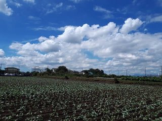 今日横浜通ったんだけど田舎すぎる