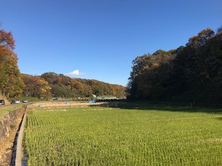 今日横浜通ったんだけど田舎すぎる