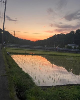 今日横浜通ったんだけど田舎すぎる