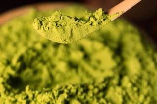 日本の微細藻類肥料市場、年率11.58％の成長へ