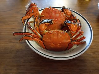 【福岡】【総合】