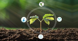 世界の農業バイオロジカル市場、2031年までの拡大予測と主要プレイヤー