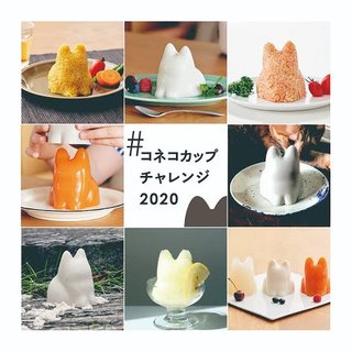 日本生まれの“ねこプリン”を｢韓国スイーツ｣と紹介したNHK､誤報疑惑に正式回答