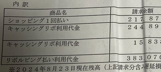 緊急。妻に何ができますか？夫が民事再生手続きをいつの間にかしていた