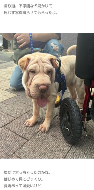 あいのり　ヒデ