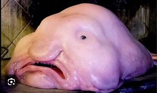 誰が総理になると思う？アンケート