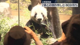 上野動物園のパンダ「リーリー」と「シンシン」との別れ惜しみ…80分待ちも