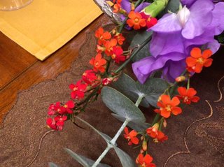 このお花の名前わかる人いますか？