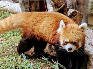 &#x{11:F8E2};なんでもいｰから&#x{11:F8E2};