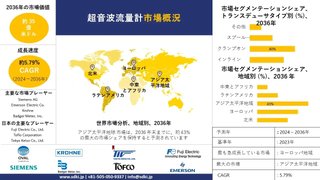 超音波流量計産業サイズ調査、シェア、需要分析概要 - 2024-2036年予測