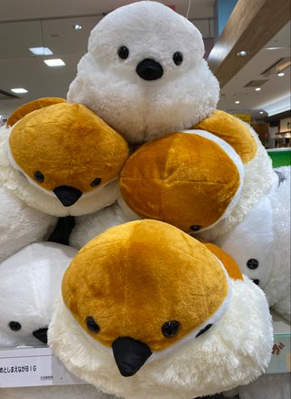 &#x{11:F8E2};なんでもいｰから&#x{11:F8E2};