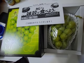 懸賞大スｷな人&#x{11:F9AF};&#x{11:F995};&#x{11:F8F6};&#x{11:F9E6};