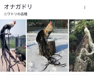 【ちらし裏】聞いてほしいの【ここに書け】