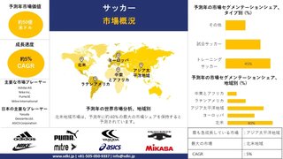 サッカー市場の将来は？