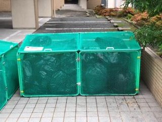ゴミ置き場掃除　難しいね