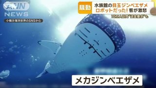 水族館の目玉ジンベエザメ　ロボットだった！客激怒　10万人訪問“返金要求”も　中国
