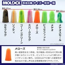 耳栓して寝てる人いる？