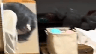 りっくん日記(YouTube)