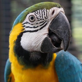 オウム返ししてくる人にイラッとするのほ私だけ？