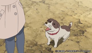 コナン見てる人