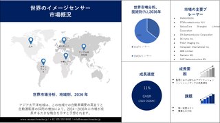 イメージセンサー市場の規模、シェア、ビジネスチャンス、成長、範囲 2036