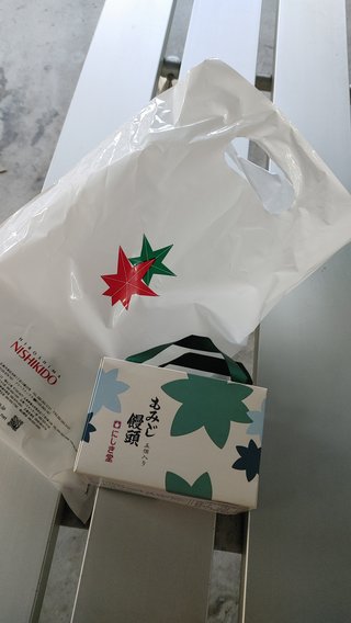 今日一人で電車に乗ってお買い物に行けた事に興奮して今でもドキドキしとる