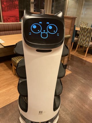 ガストやジョナサンに導入されているネコ型配膳ロボット「BellaBot（ベラボット）が可愛い」