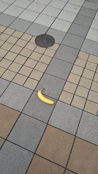 朝のお散歩中にバナナが落ちていました。
