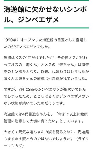 【速報】岩松川に現れたジンベエザメ死ぬ 10月まで海遊館で飼育の「海くん」と判明