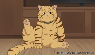 コナン見てる人