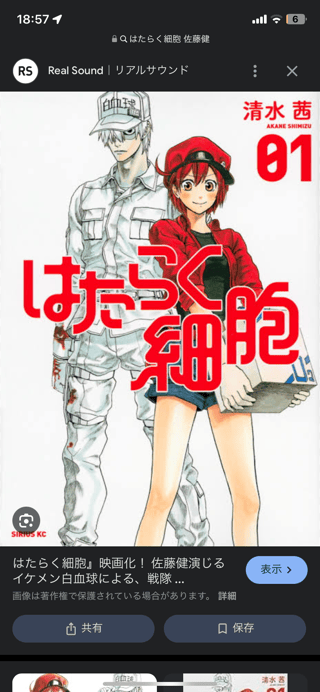 TBS系『ライオンの隠れ家』