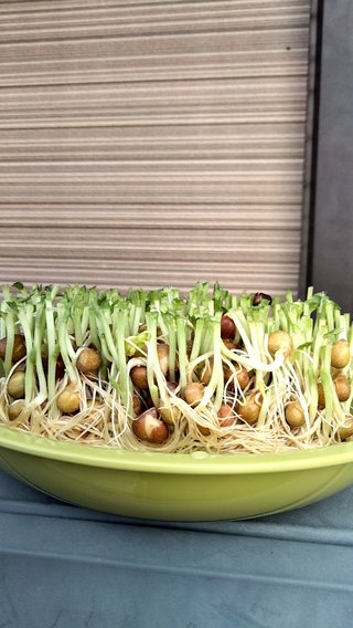 ママスタ内で友達になって。