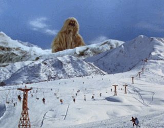 【北海道.東北】❄️雪降ってますか？