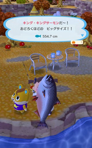 大きいサーモンが釣れたんだけどどんな調理法で食べたら美味しいですか？