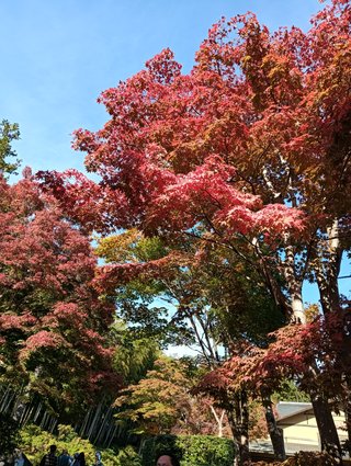 【ちらし裏】聞いてほしいの【ここに書け】
