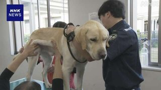 東京税関の麻薬探知犬が健康診断 職員に励まされワクチンも
