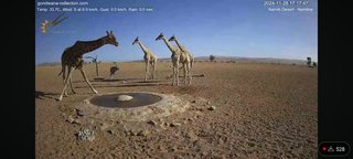 砂漠に設置された人工水飲み場を見守るライブカメラ配信が癒されると話題