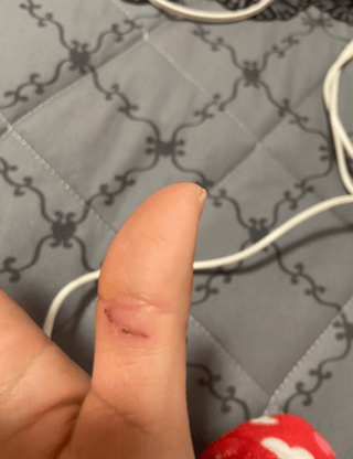 秋田県のスーパーに居座っとる熊退治に行ってくるわι(｀ロ´)ノ