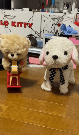 秋田県のスーパーに居座っとる熊退治に行ってくるわι(｀ロ´)ノ